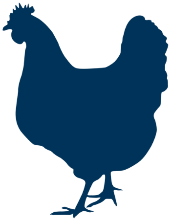 poultry icon